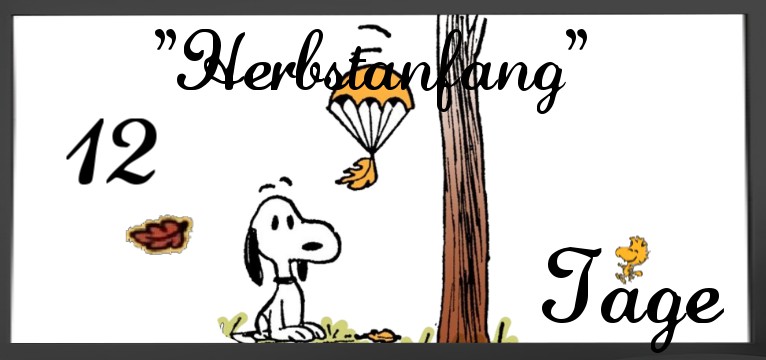  counte  Snoopy  Autumn 