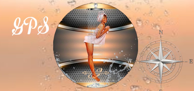 GPS Shower Pin Up 
