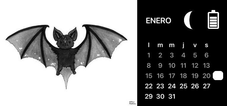 bat