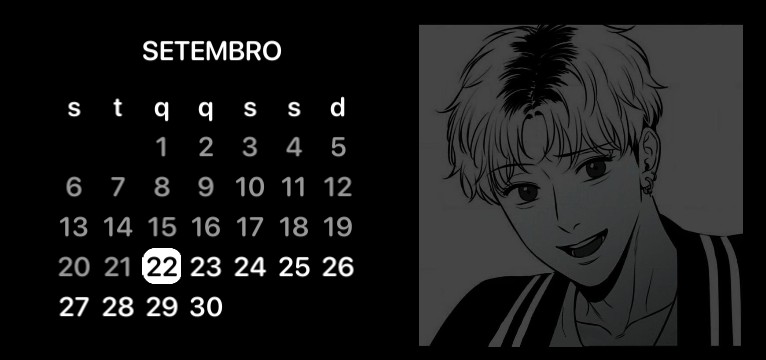 Widget de calendrio