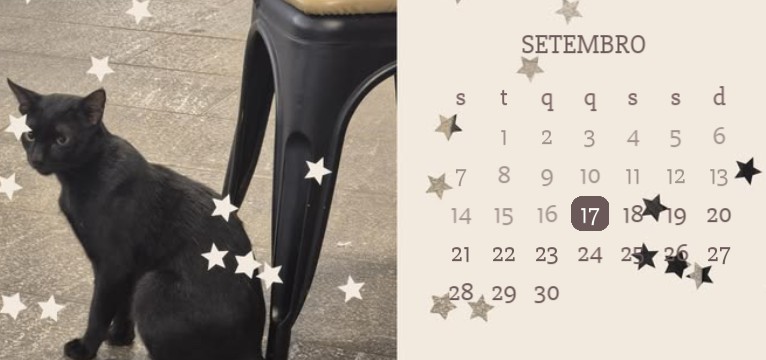 calendar