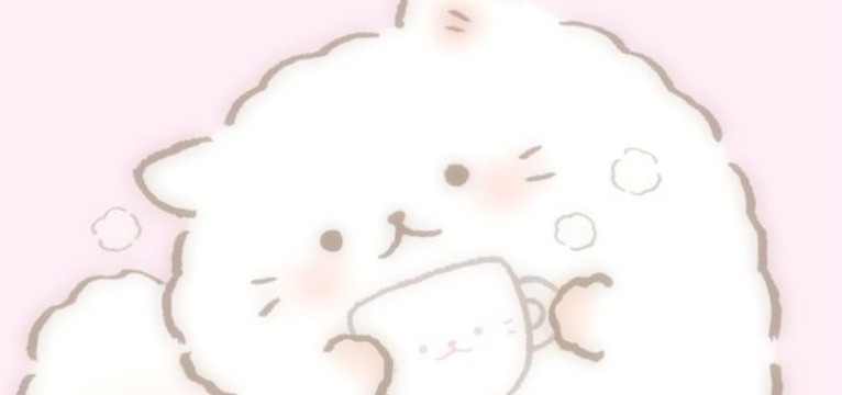 PEWRIN WIDGET 6