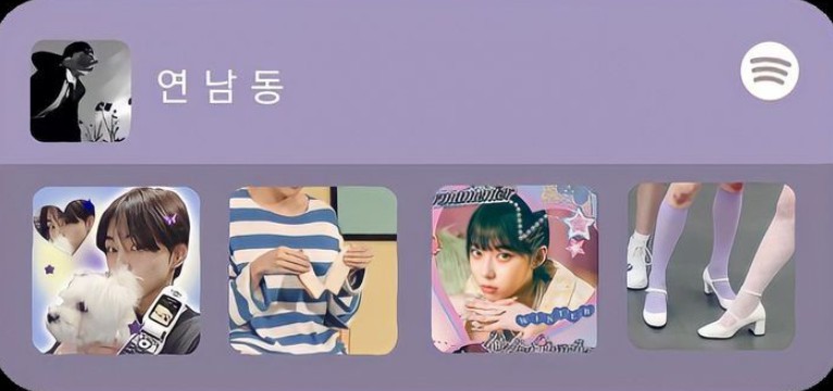 Purple Spotify