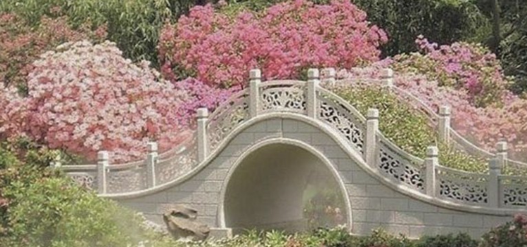 cottage flower