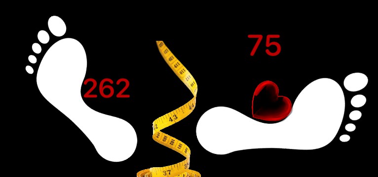 Herz Widget Waage