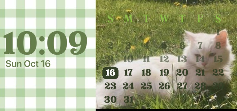 Sage green calender