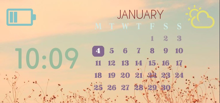 Multi colour widget