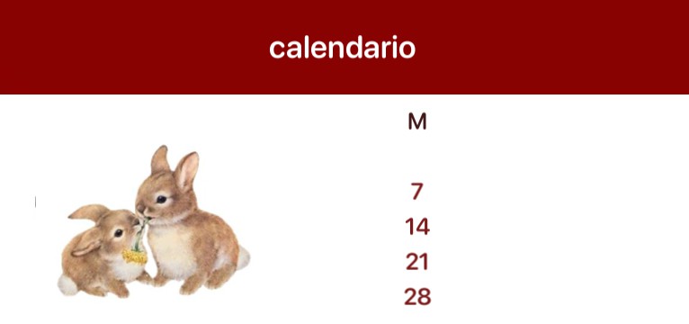 widget aesthetic