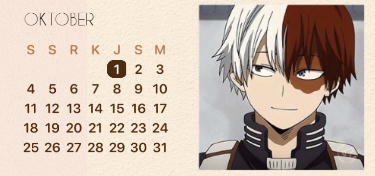 Shoto todoroki