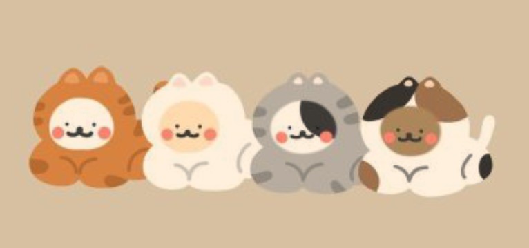 cute bears