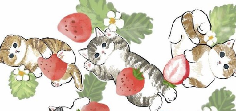 strawberry & cats 