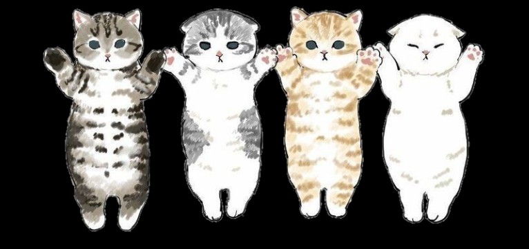 cats