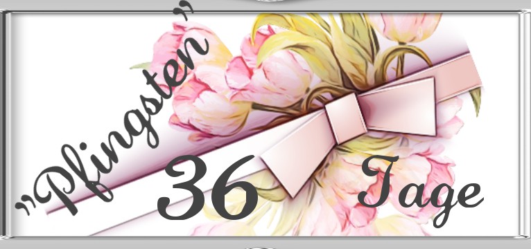  counter Tulpen Fruehling 