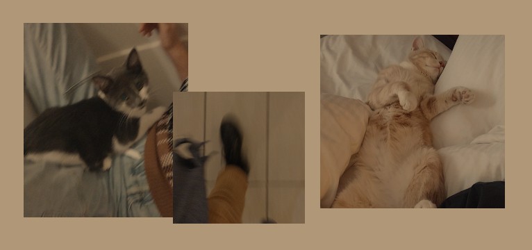 Brown/Tan aesthetic