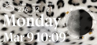 CHEETAH PRINT WIDGET 