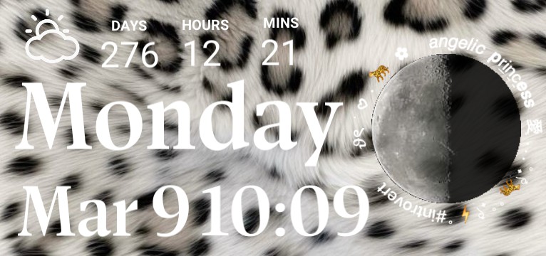 CHEETAH PRINT WIDGET 