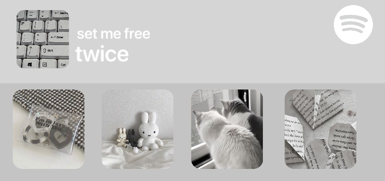 Spotify gray