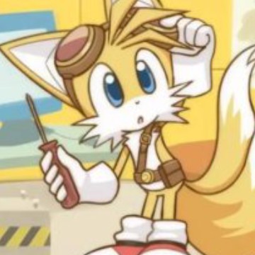 sonic fans