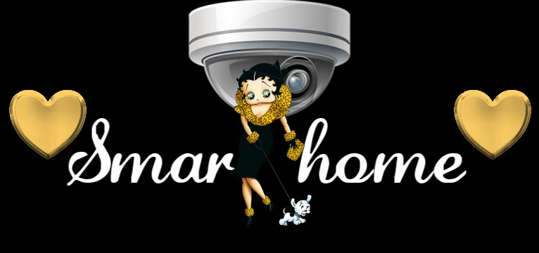 Smarthome Betty boop 1