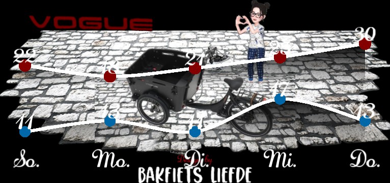 Wetterkurve Werbe Bakfiets black 