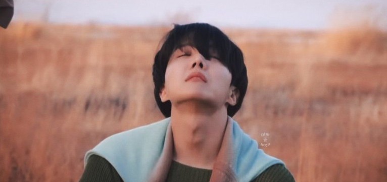 jhope widget
