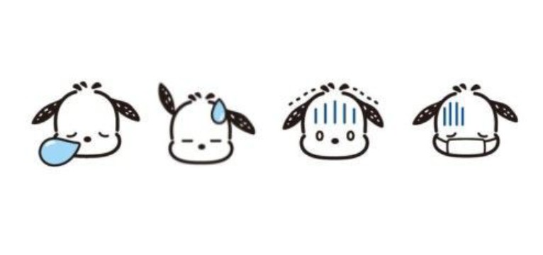 pochacco 