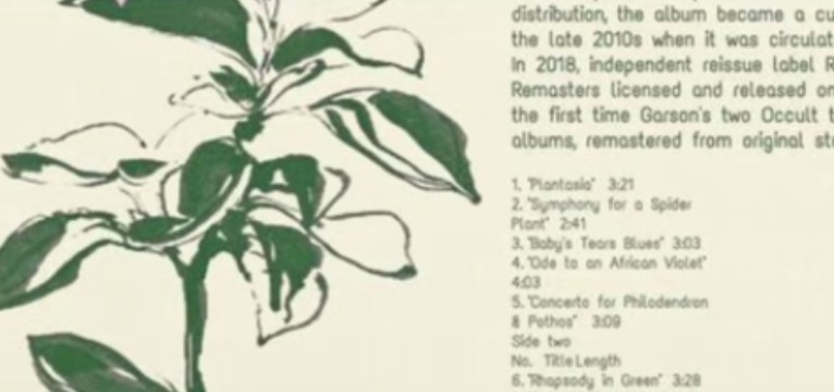 plant widget  