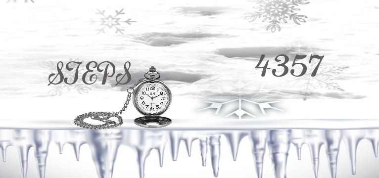 Step Wintertextur 