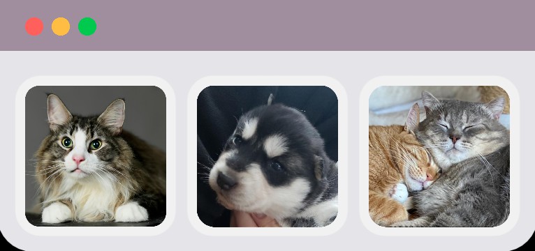 Auto light dark theme photo widget