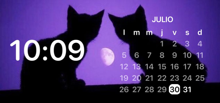 Gatitos  Copy