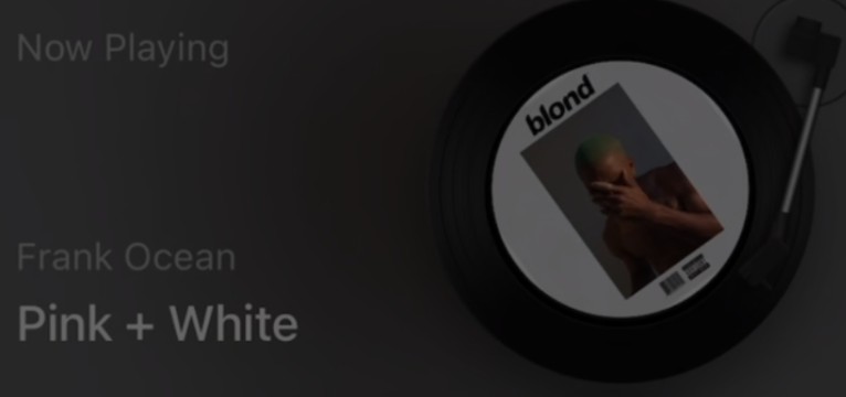 Vinyl