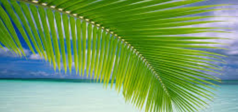 Windoes Vista Slideshow