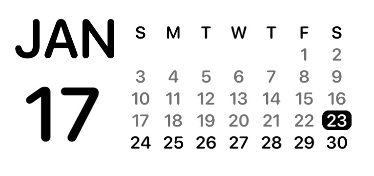 NORMAL WIDGET
