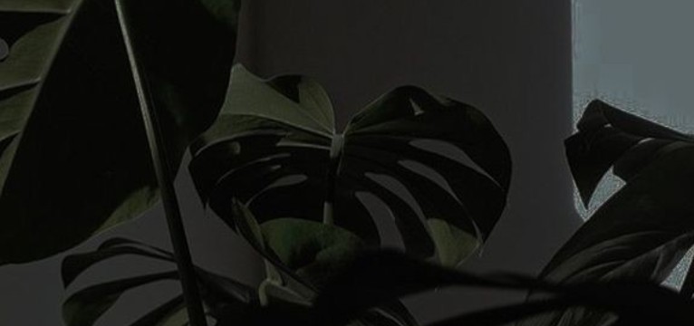 green plants 