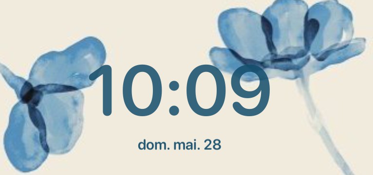 widget aesthetic