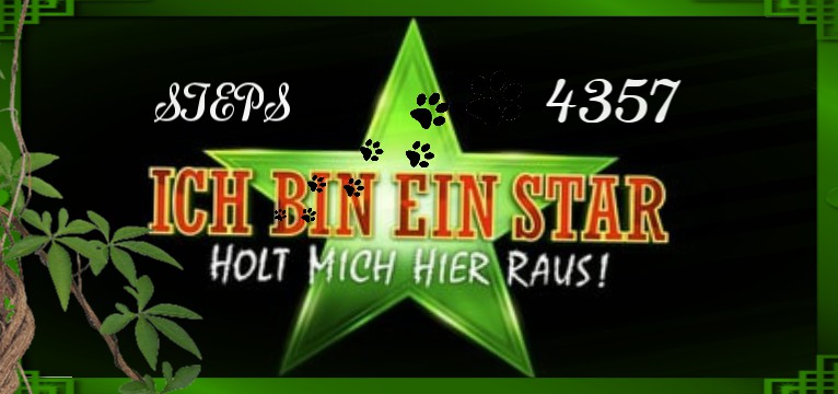 Steps  Ich bin ein Star  Dschungelcamp 