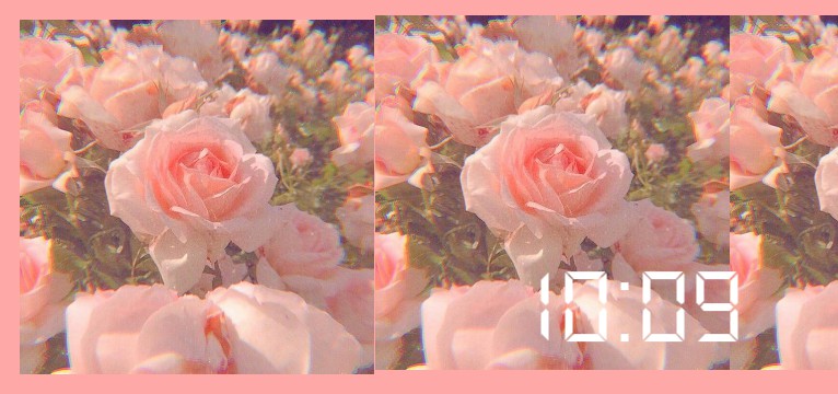 flowers of day