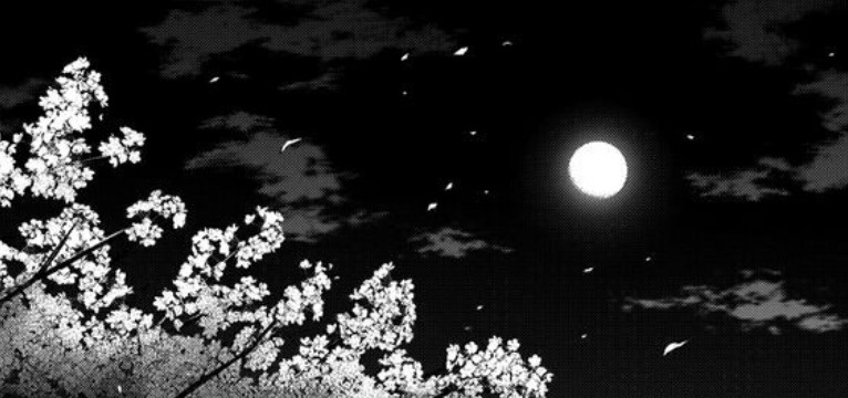 banner dark 
