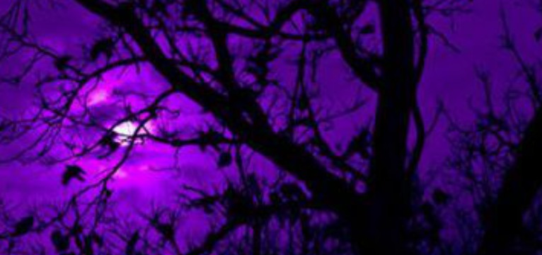 purple moon