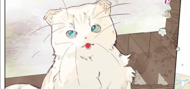 kittywidget