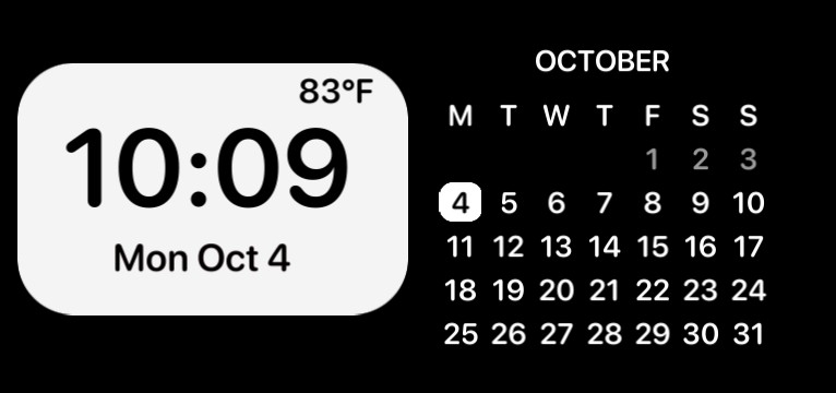 chrisschaniee