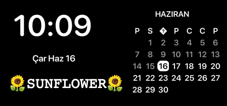 sunflower girl