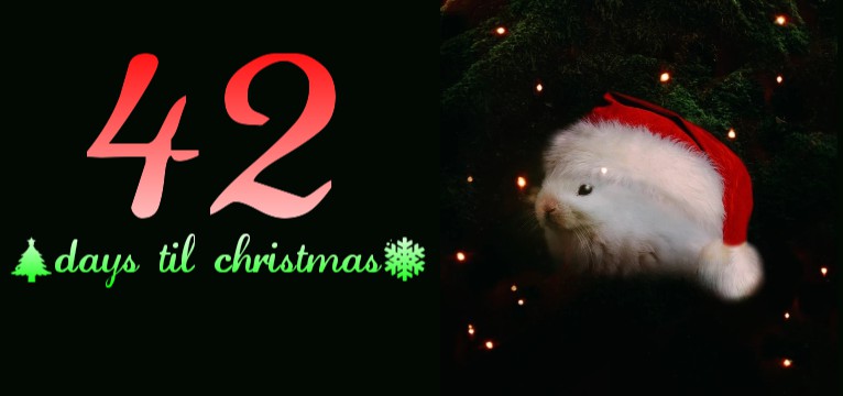 Christmas Countdown
