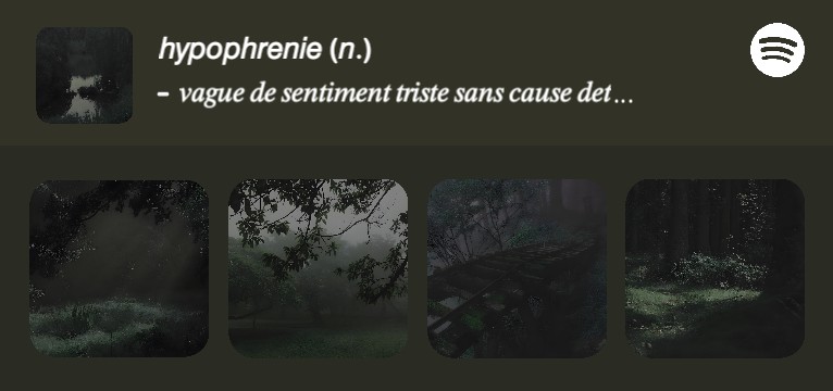 Spotify widget