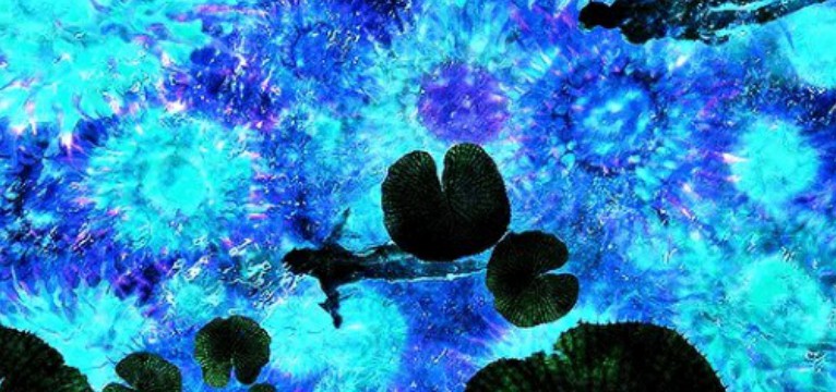 Avatar the way of water
