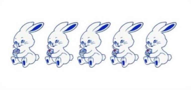 Bunnies/Tokki
