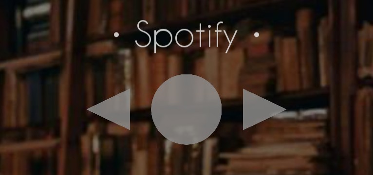 Spotify controls 