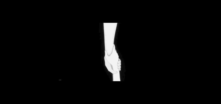 whyamistaying