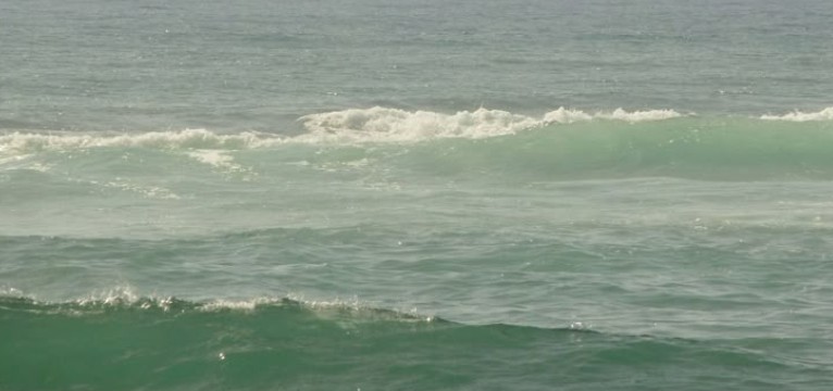 Sage Green beach themed 
