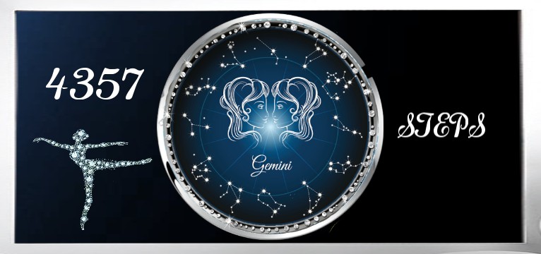 Step Gemini 2